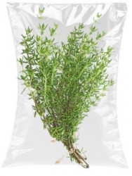 Cỏ Xạ Hương (Thyme) Đà Lạt 100g