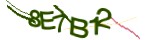 Mã bảo mật